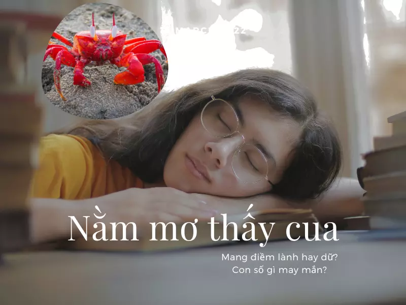 Nằm mơ thấy cua