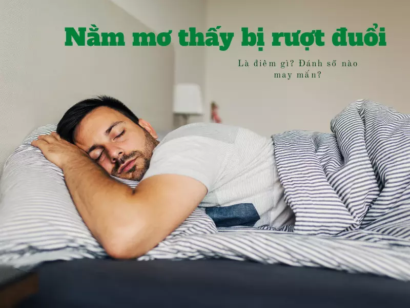 Nằm mơ thấy bị rượt đuổi
