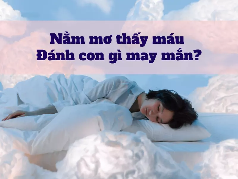 Nằm mơ thấy máu