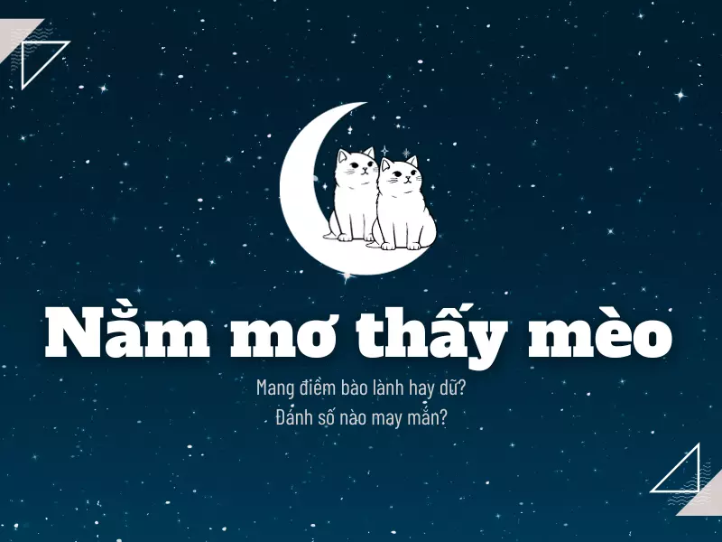 Nằm mơ thấy mèo