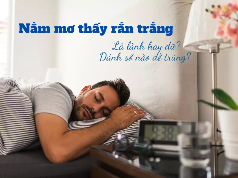 Nằm mơ thấy rắn trắng