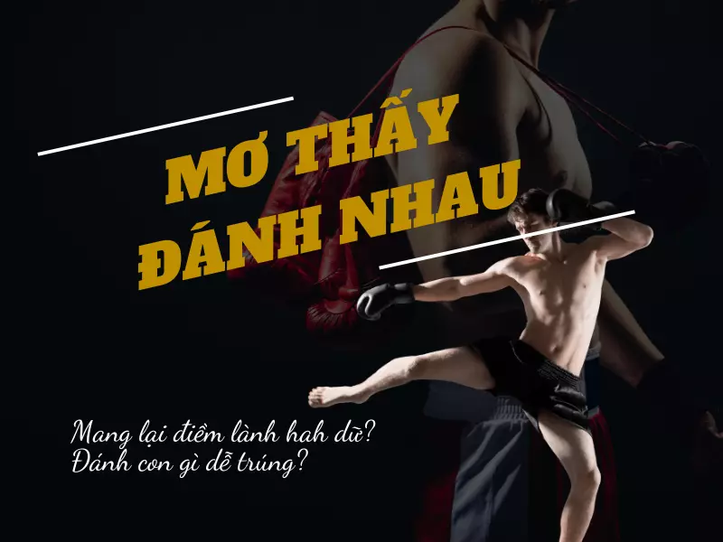 Mơ đánh nhau đánh con gì cho dễ trúng