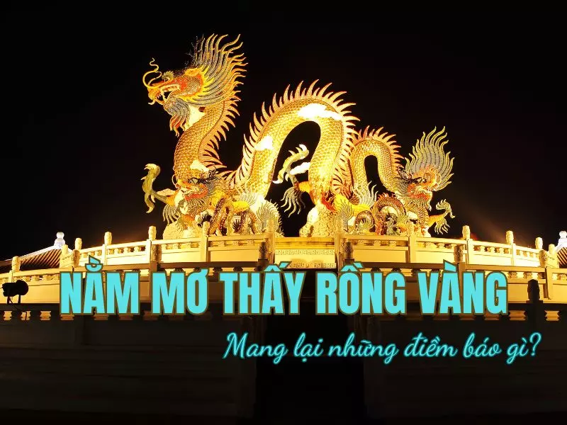 Nằm mơ thấy rồng vàng