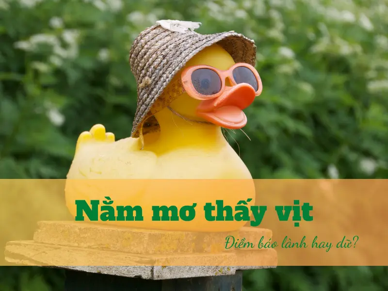 nằm mơ thấy vịt